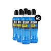 Laden Sie das Bild in den Galerie-Viewer, ESN Hydorade 6 x 500ml
