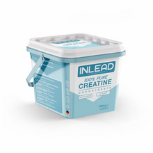 INLEAD Creatine Monohydrate 500g