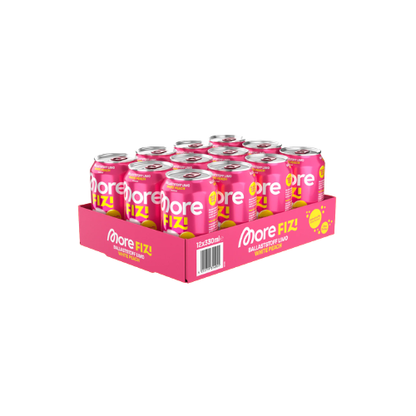 More FIZI (12 x 330ml)